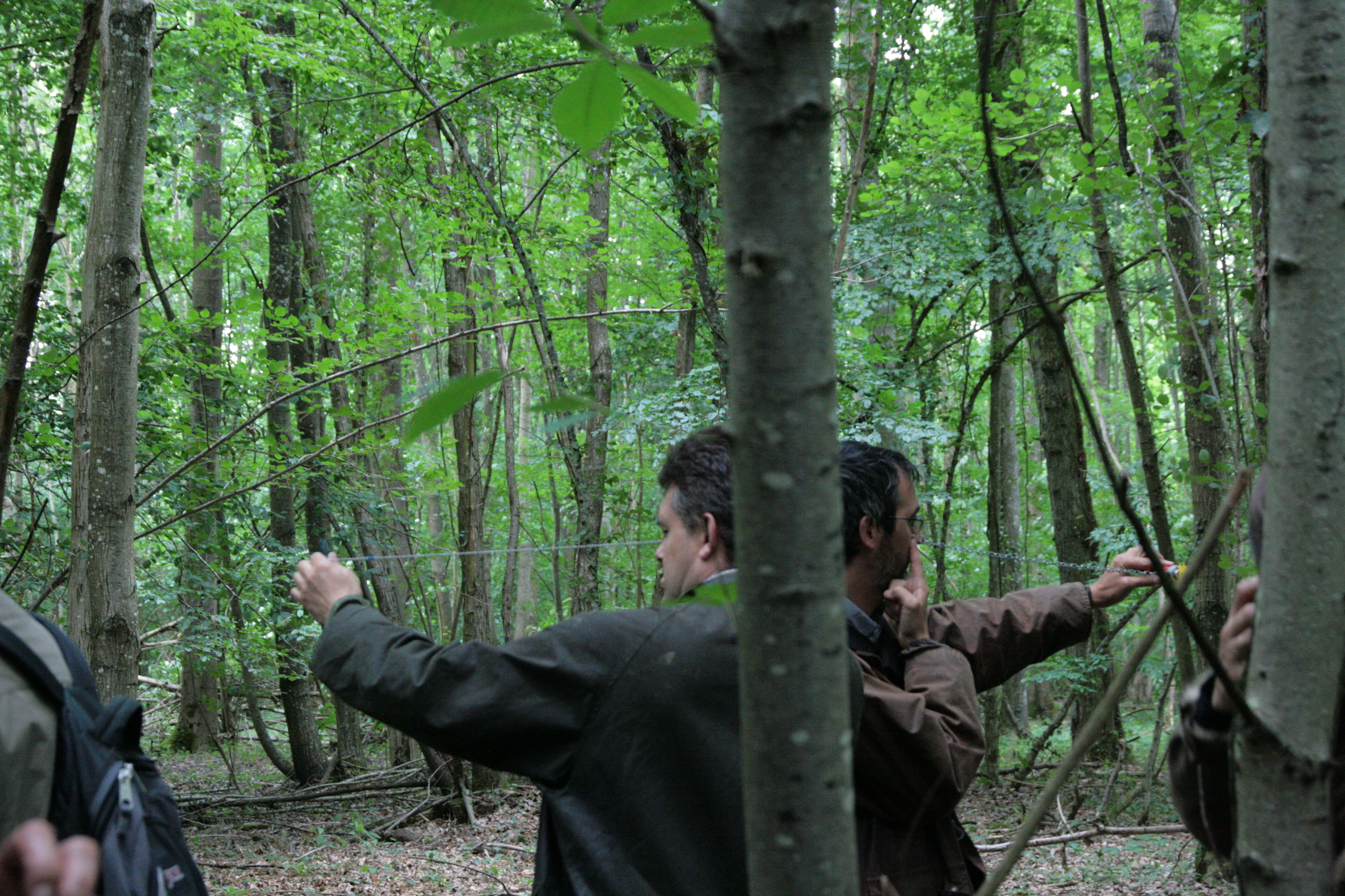 Image de la formation Diagnostic de peuplement en sylviculture irrégulière