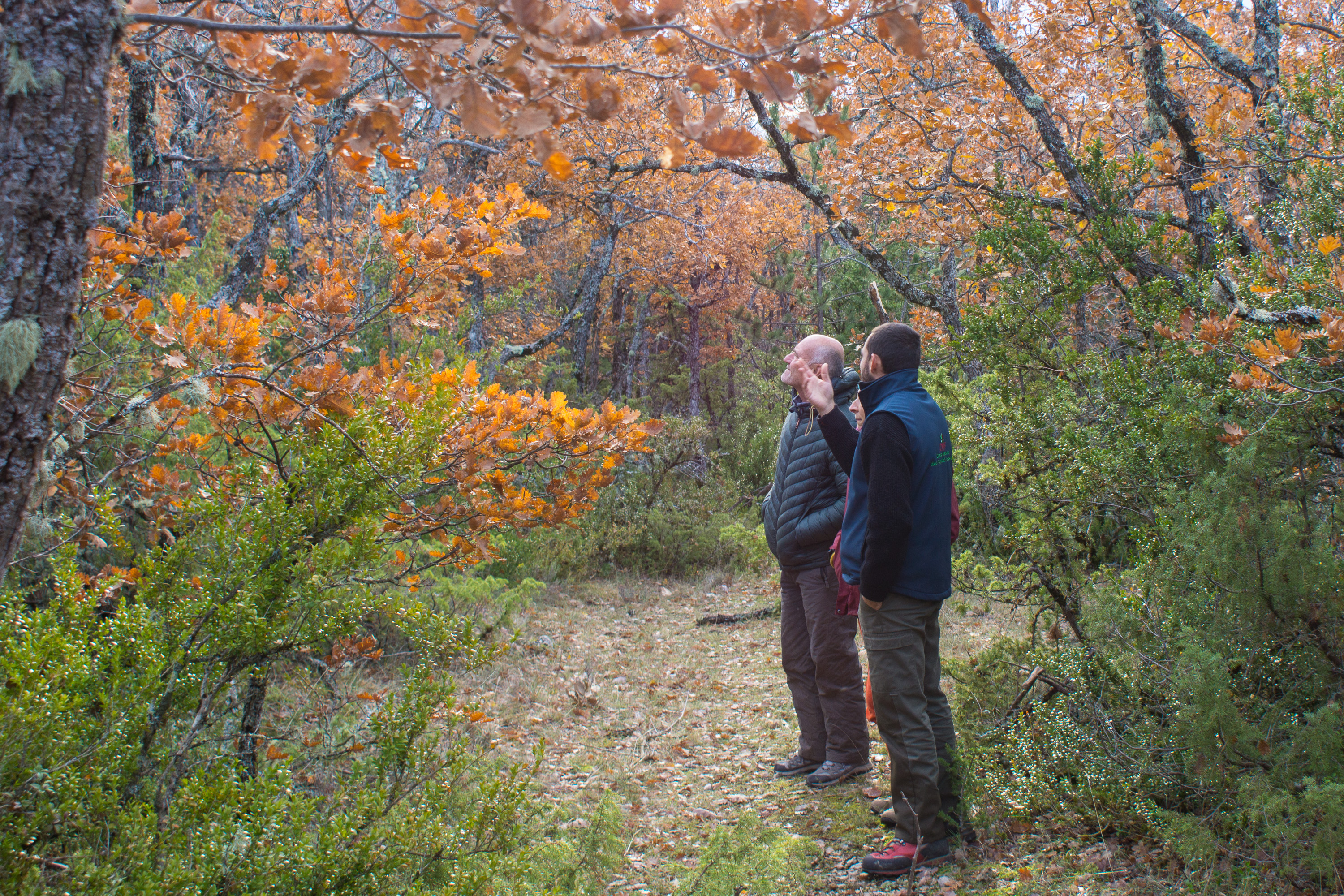 Image de la formation OPTIMISER SON ACCOMPAGNEMENT DES PROPRIÉTAIRES FORESTIERS
