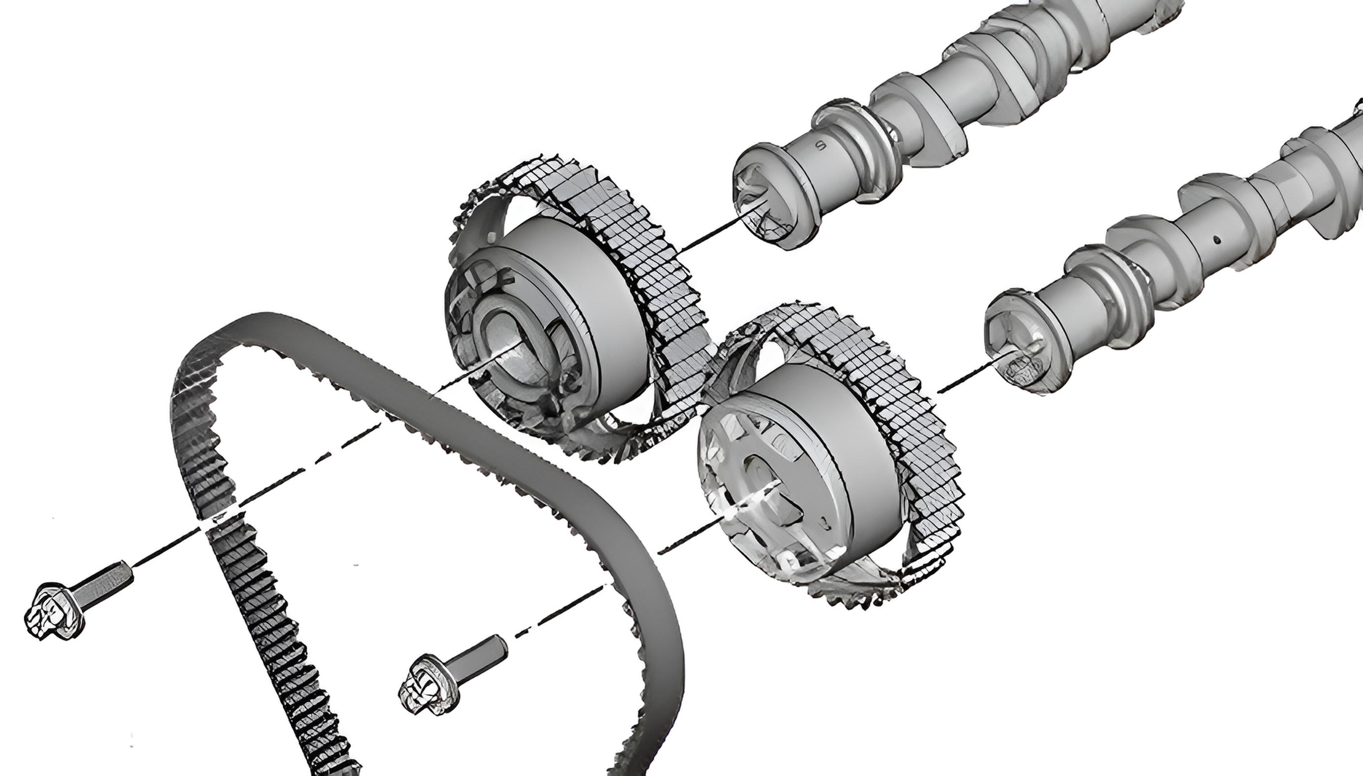 Image de la famille Distribution