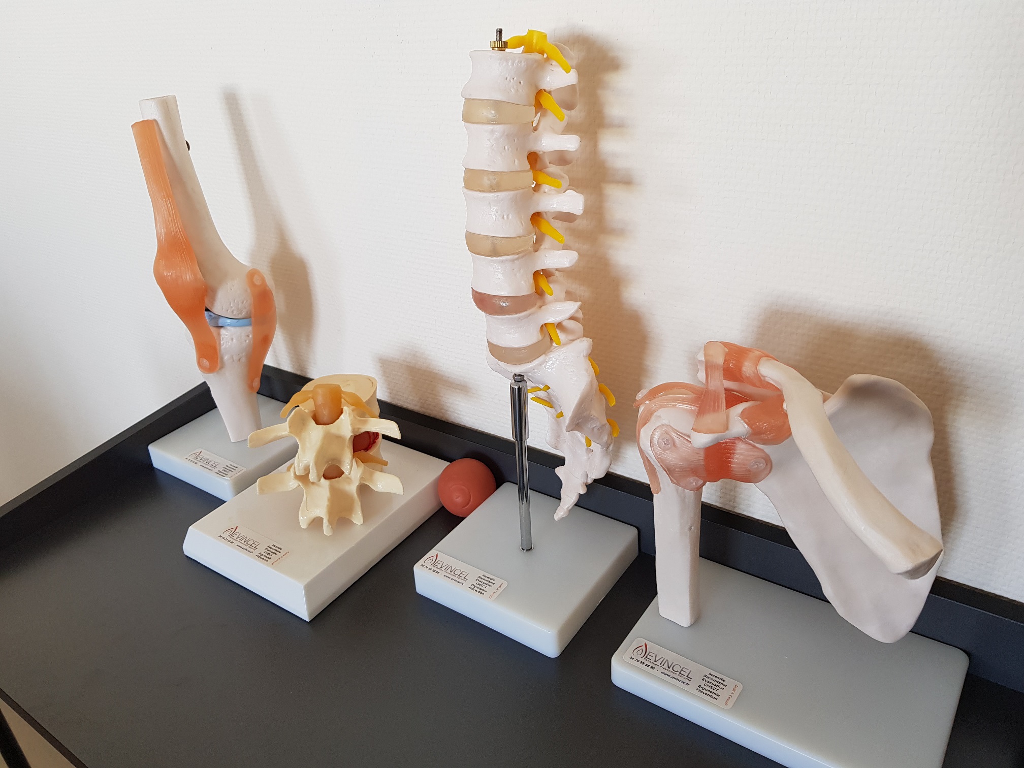 Informations sur la durée et les tarifs de la formation Formation Gestes et Postures - TMS et Ergonomie